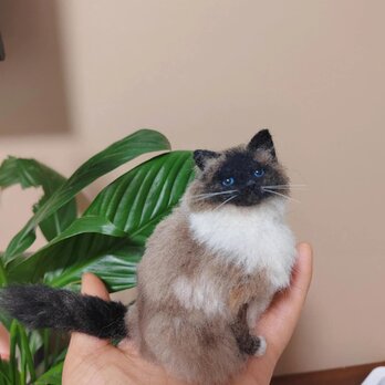 [オーダーメイド] 羊毛フェルト 猫 ネコ、ペット ぬいぐるみ、うちの子 人形 似顔絵、愛猫 誕生日 プレゼント、猫好き 贈り物