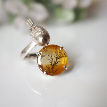 コマドリとデンドリティッククオーツリング 12.7ct