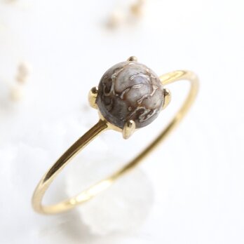 恐竜の化石のリング｜ダイナソーボーンフォシル　指輪　天然石　SILVER925＋18KGP --Dream--