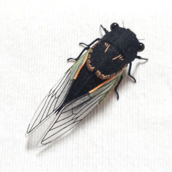 クマゼミ(オス)のぬいぐるみ