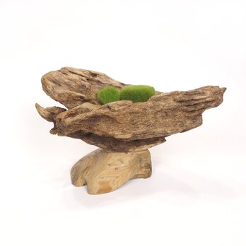 【温泉流木】岩に波を乗せた変形流木の飾り台座スタンド 置台 台座 木製 流木インテリア