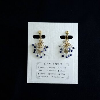 ソーダライト・水晶 / flutter