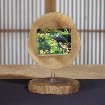 流木フォトスタンド　写真額　写真立て　木の額　　流木アート　木のインテリア　ナチュラルアート　１１１