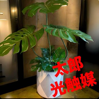 光触媒　人工観葉植物　ウォールグリーン　フェイクグリーン　バリ風特大モンステラ8