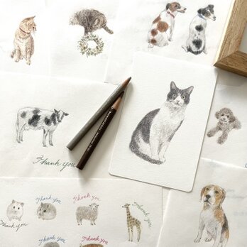 ペットの似顔絵 原画