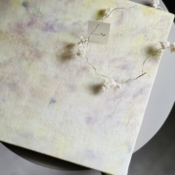 インテリアボード/バンドルダイ