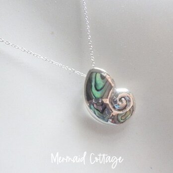 Snail＊Pauashell and Silver 925　シルバー925とパウアシェルの巻貝ネックレス