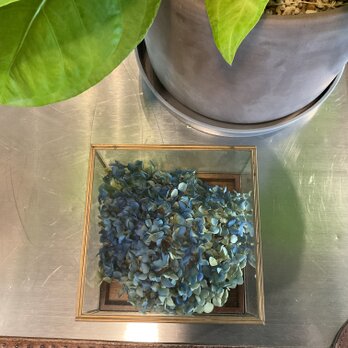 ドライフラワーinガラスボックス