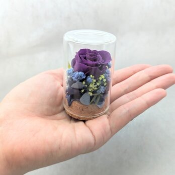 プリザーブドフラワー／紫のミニ薔薇と小花のミニガラスボトル
