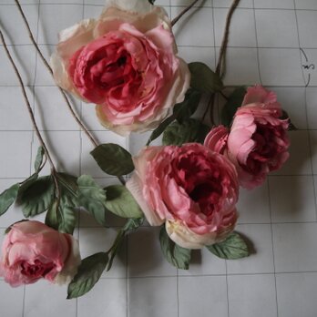 薔薇　１０