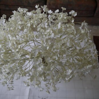 カスミソウの花束