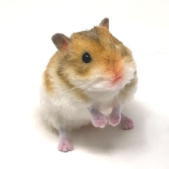 367 ゴールデンハムスター クリームバンデッド◇羊毛フェルト オーダー作品。キンクマさん&クリームバンデッドさん〉 羊毛