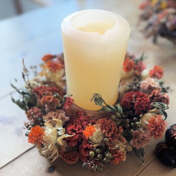 秋色ケイトウと紅花