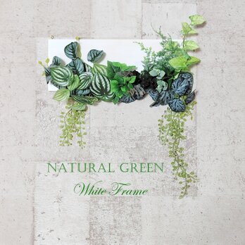 お手入れ要らず　自然を感じるナチュラル系ウォールグリーン　ホワイトウッドボード
