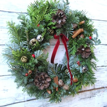 コニファーと木の実