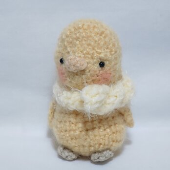 愛嬌たっぷり小鳥さん (あみぐるみ)