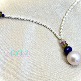 CYT 2（シーワイティー２）