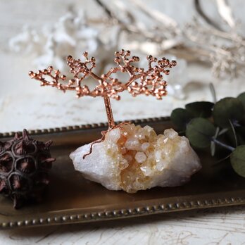 【花石】シトリンとヤブガラシ