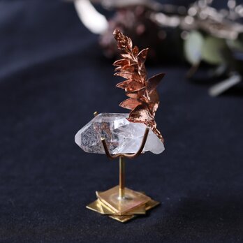 【花石】スタンド/クォーツとサンカクバアカシア