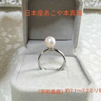 日本産あこや本真珠のリング　フリーサイズ