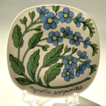 ARABIA Esteri Tomula Botanica わすれな草