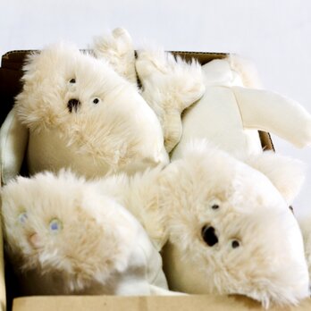 まもぐるみのこども