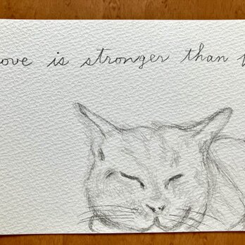 猫と愛の言葉 ドローイング Love is stronger than fear.