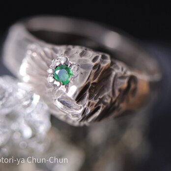 【精霊シリーズ】ザンビア産ノンオイルエメラルド・精霊リング【木の精霊「ラルド」】