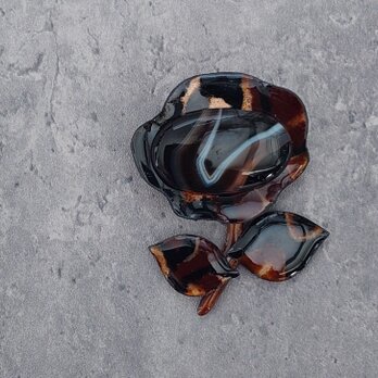 秋色バンデッドアゲートの花