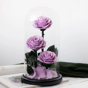 プリザーブドフラワー アレンジメント 好奇心 ドライフラワー 薔薇 ローズ 花 開店祝い 開業祝い 記念日 誕生日