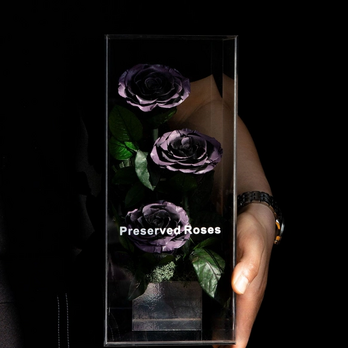 プリザーブドフラワー アレンジメント 恵み ドライフラワー 薔薇 ローズ 花 結婚祝い 記念日 誕生日 玄関に飾る