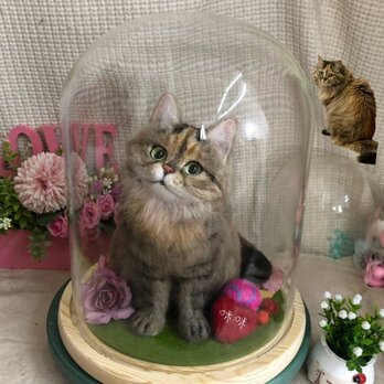 【オーダーメイド ペット】羊毛フェルト  猫  亡くなったペット ぬいぐるみ 猫 うちの子、ペット似顔絵、犬 猫 人形
