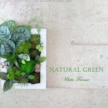 多肉植物のグリーン絵画のように・・・　お手入れ不要フェイクグリー　光触媒加工済で空気を綺麗にします