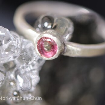 【10月の誕生石】お買い得のバイカラートルマリン・シルバーリング【桃三日月】