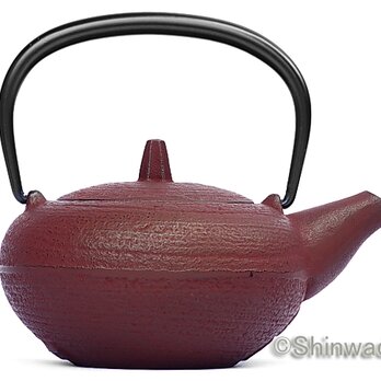 未使用品、供箱、栞、タグ付　南部天正堂作１９型コシキアラレ　南部鉄瓶　南部鉄器 未使用品、供箱、栞、タグ付 南部天正堂作19型コシキアラレ 南部