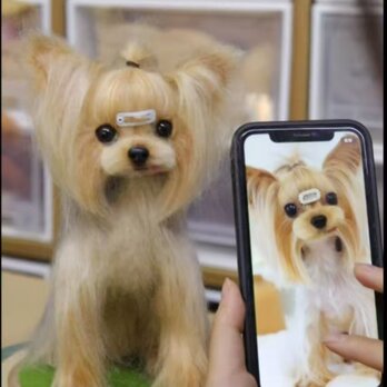 【オーダーメイド ペット】 愛犬 羊毛フェルト  亡くなったペット ぬいぐるみ 犬 オーストラリアン・テリア うちの子、ペット