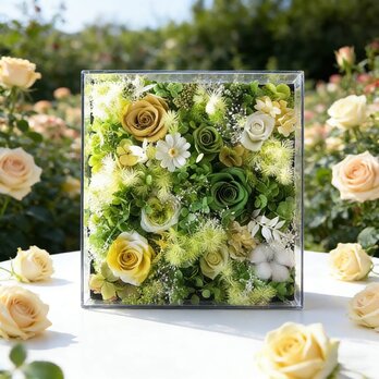 花飾り 玄関に飾る バラ 薔薇 ローズ、美の形、プリザーブドフラワー、ドライフラワー、アレンジメント、開店 開業祝い、記念日