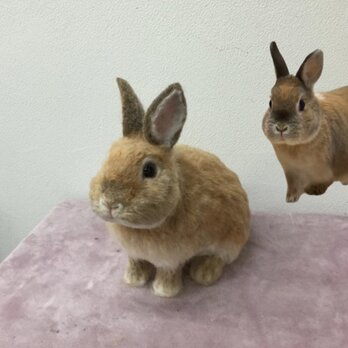 【オーダーメイドペット】 羊毛 フェルト うさぎ   ぬいぐるみ ウサギ、うちの子 うさぎ、ペット似顔絵、人形