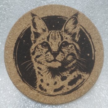 コースター　サーバルキャット