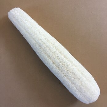 【信州産】ヘチマたわし40cm 漂白済 1020#04【おすすめ】