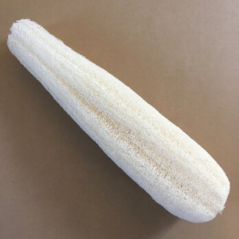 【信州産】ヘチマたわし39cm 漂白済 1020#02【おすすめ】