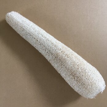 【信州産】ヘチマたわし 40cm 無漂白 1016#04【おすすめ】