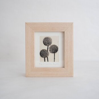 銅版画 "billy buttons"（ミニ額）