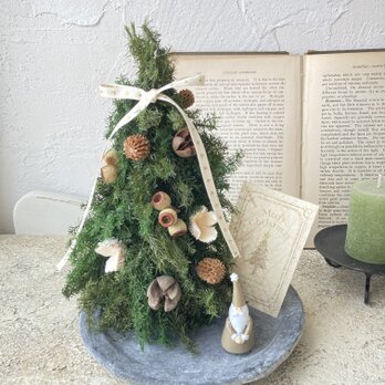 大人クリスマス＊ツリーとサンタ〜聖夜に。。。