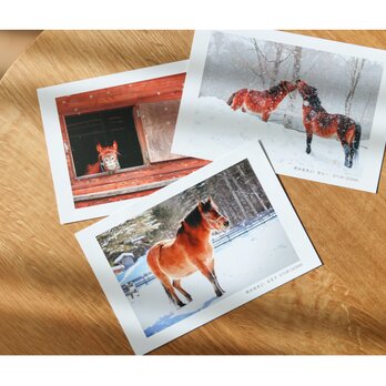 木曽馬ポストカード　ウィンターシーズンセット