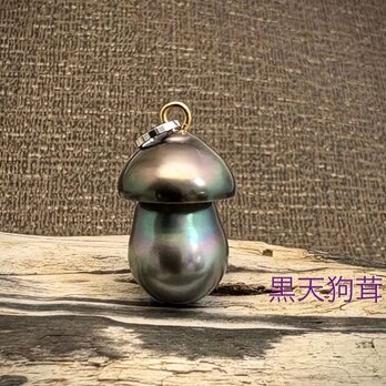 黒天狗茸（クロテングダケ）