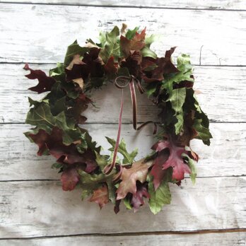 リーフ・リース