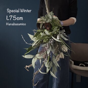 Special Winter * スリムなL75cm_ヒュッゲなグリーンスワッグ*Green&purple.Xmas