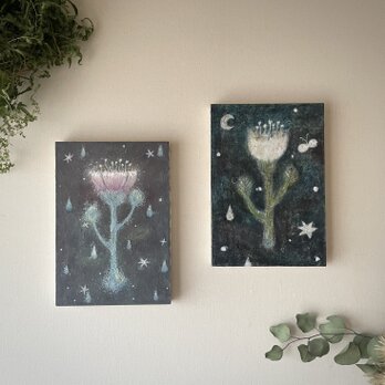 原画『小夜中にひらく花, a.』