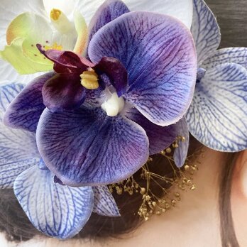 胡蝶蘭髪飾り　パンダオーキッド　花嫁ヘア　振袖ヘア　ブライダル　成人式　謝恩会